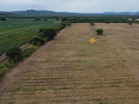 Campo en Venta en Coronel Moldes, La Viña