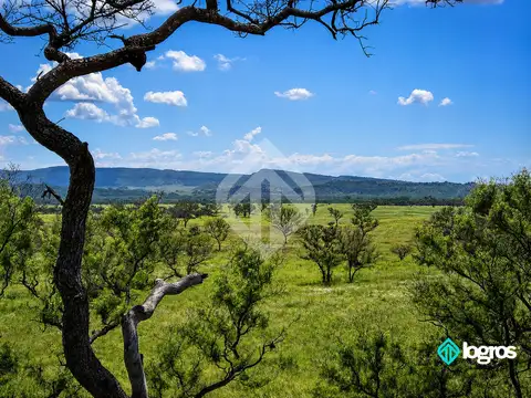 Campo en Venta en Zona Norte, Salta