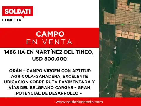 Campo en Venta en Martinez del Tineo, Orán