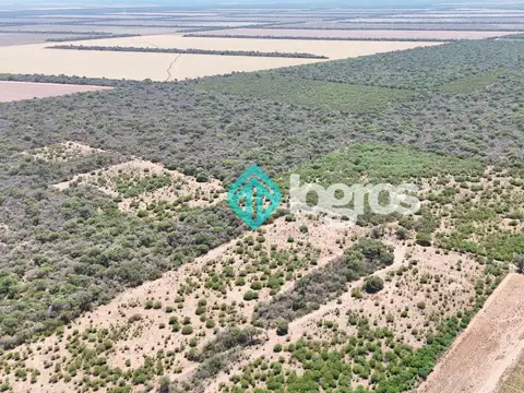 Campo en Venta en General Pizarro, Anta