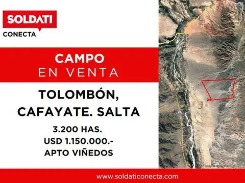 Campo en Venta en Tolombon, Cafayate