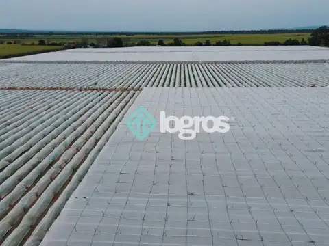 Campo en Venta en Aguas Blancas, Orán