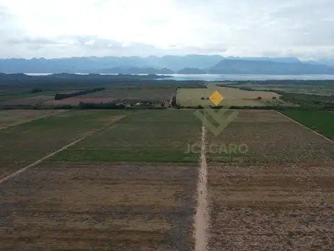 Campo en Venta en Coronel Moldes, La Viña