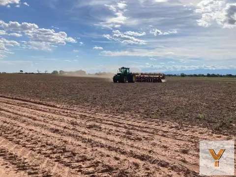 Campo en Venta en Apolinario Saravia, Anta