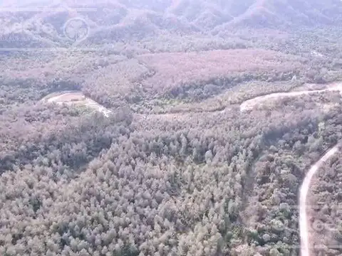 Campo en Venta en San Ramon de la Nueva Oran, Orán