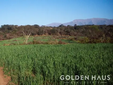 Campo en Venta en Metan, Metán
