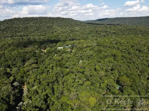 Campo en Venta en Oran, Orán