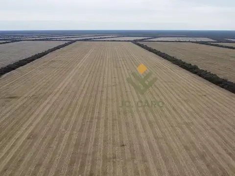 Campo en Venta en Embarcacion, General José de San Martín