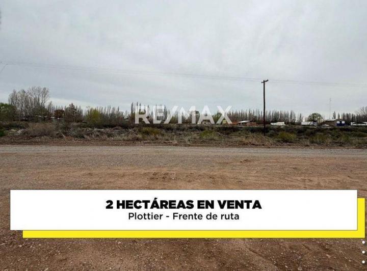 Campo · 2ha