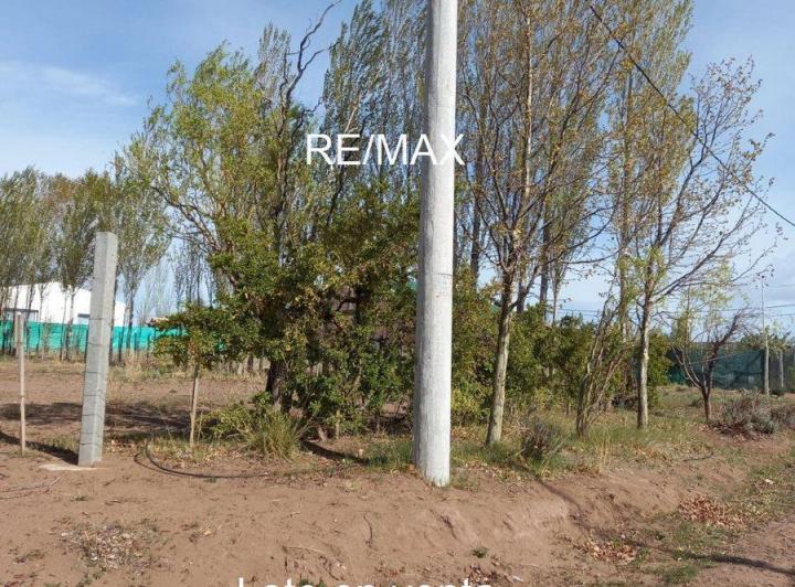 Terreno · 442m²