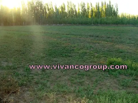 Campo en Venta en Cipolletti, General Roca