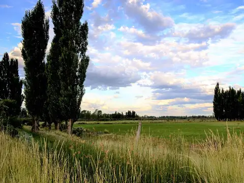 Campo en Venta en General Conesa, Conesa