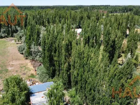 Campo en Venta en Sargento Vidal, General Roca
