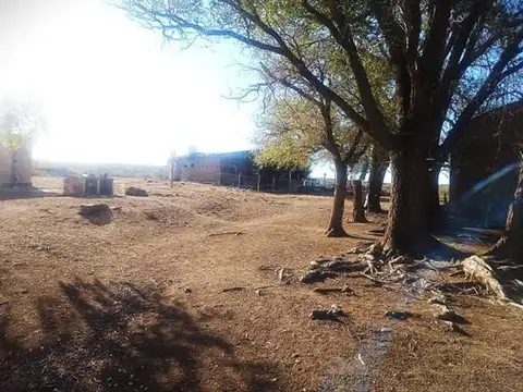 Campo en Venta en Los Menucos, 25 de Mayo