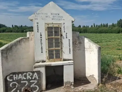 Campo en Venta en Cervantes, General Roca