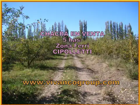 Campo en Venta en Cipolletti, General Roca