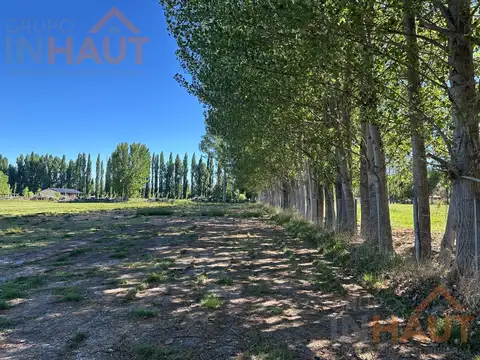 Campo en Venta en Cipolletti, General Roca