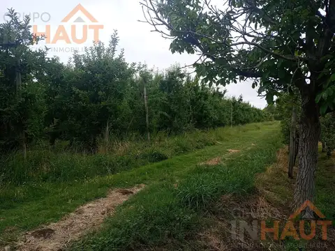 Campo en Venta en Ingeniero Huergo, General Roca