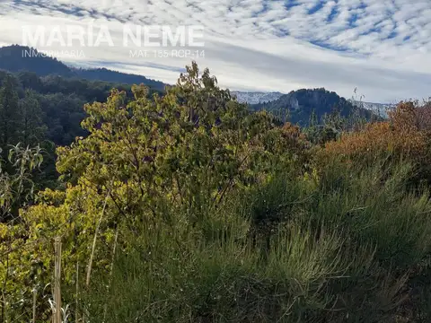 Campo en Venta en El Manso, Bariloche