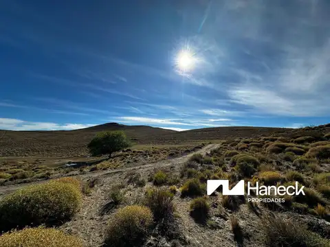 Campo en Venta en Pilcaniyeu Viejo, Pilcaniyeu