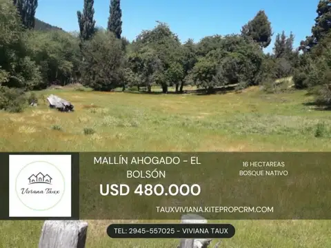 Campo en Venta en El Bolson, Bariloche