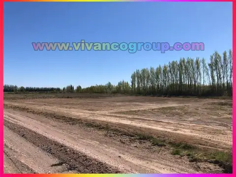 Campo en Venta en Allen, General Roca