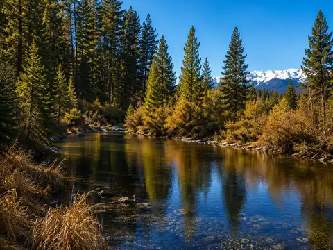 Campo en Venta en El Bolson, Bariloche