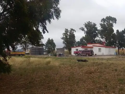 Campo en Venta en Viedma, Adolfo Alsina