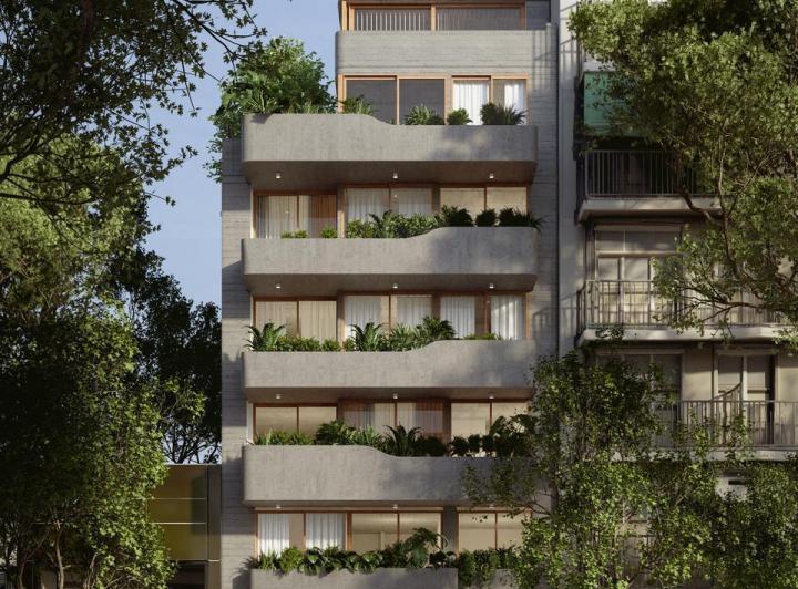 Desarrollo vertical