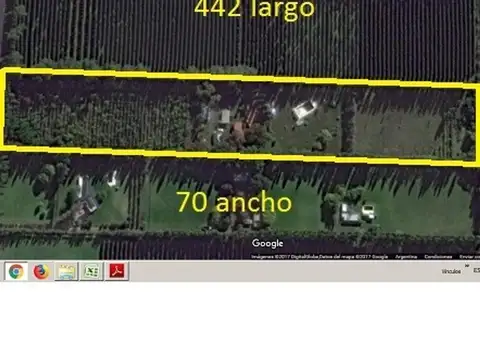 Campo en Venta en Cipolletti, General Roca