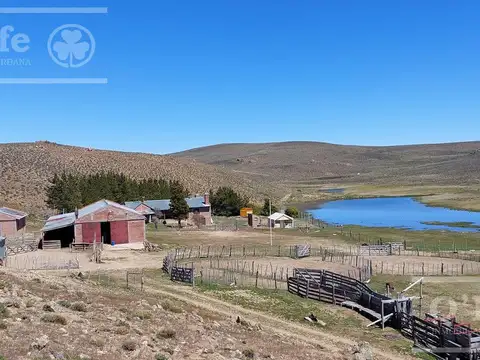 Campo en Venta en Comallo, Pilcaniyeu