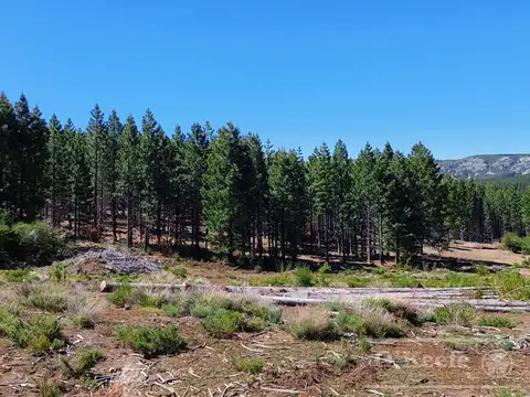 Campo en Venta en San Carlos de Bariloche, Bariloche