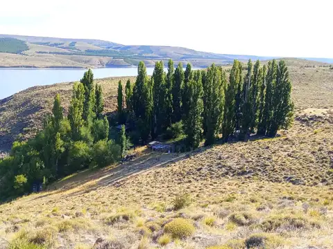 Campo en Venta en Pilcaniyeu, Río Negro