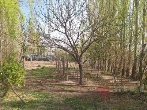 Casa en Venta en Cinco Saltos, General Roca