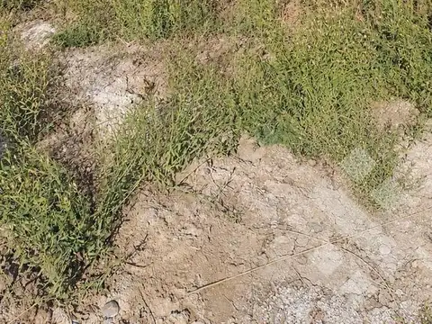 Terreno en Venta en Cinco Saltos, General Roca