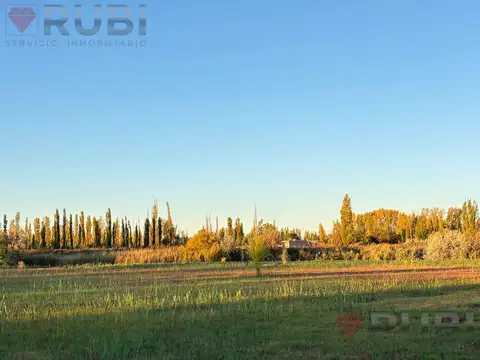 Terreno en Venta en Cervantes, General Roca