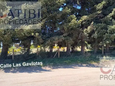 Terreno en Venta en Dina Huapi, Pilcaniyeu