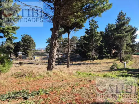 Terreno en Venta en Dina Huapi, Pilcaniyeu