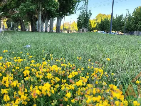 Terreno en Venta en Cipolletti, General Roca
