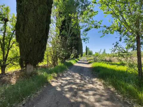 Terreno en Venta en Contralmirante M Guerrico, General Roca