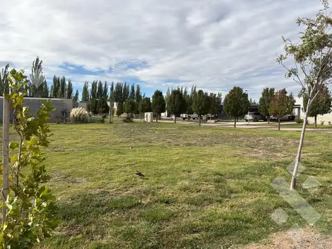 Terreno en Venta en Cipolletti, General Roca