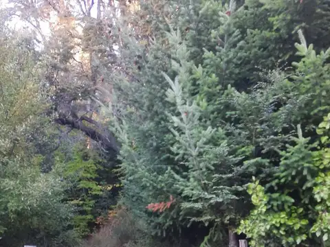 Terreno en Venta en San Carlos de Bariloche, Bariloche