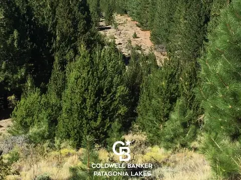 Terreno en Venta en Villa Llanquin, Pilcaniyeu