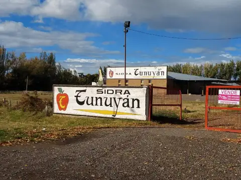 Negocio especial en Venta en General Roca, Río Negro