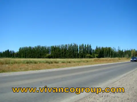 Terreno en Venta en Vista Alegre Norte, Confluencia