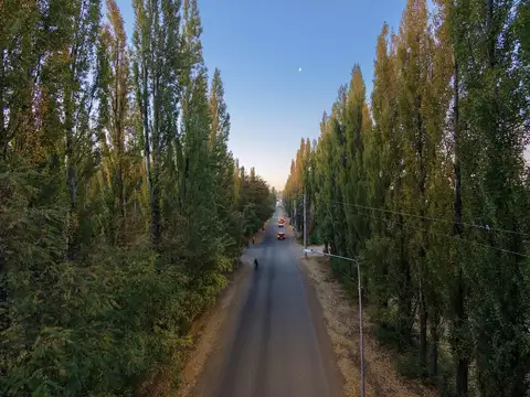 Terreno en Venta en Plottier, Confluencia