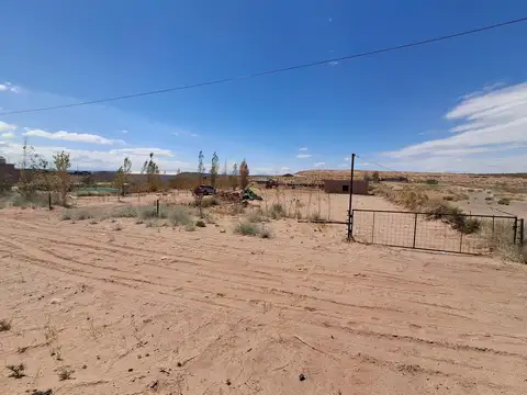 Terreno en Venta en Rincon de los Sauces, Pehuenches