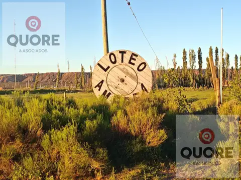 Terreno en Venta en Plottier, Confluencia