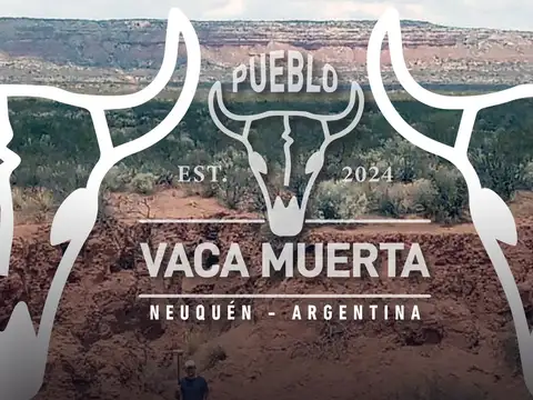 Terreno en Venta en Vaca Muerta, Picunches