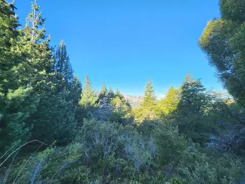 Terreno en Venta en San Martin de los Andes, Lácar
